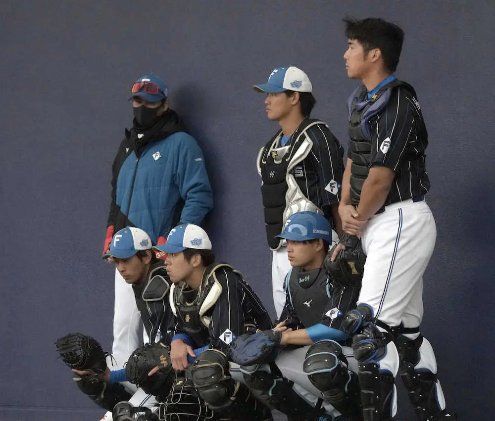 【画像・写真】日本ハム・郡　谷繁氏からキャッチング指導「考えていたのと全然違った」