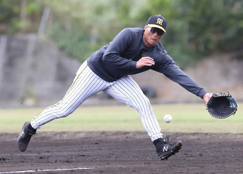 【画像・写真】阪神　まさに鉄人、最年長・糸井が30分間の一塁特守にも余裕の笑顔
