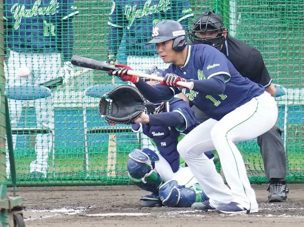 【画像・写真】高津ヤクルトが今季も目指す「1点を取る、1点を守る野球」