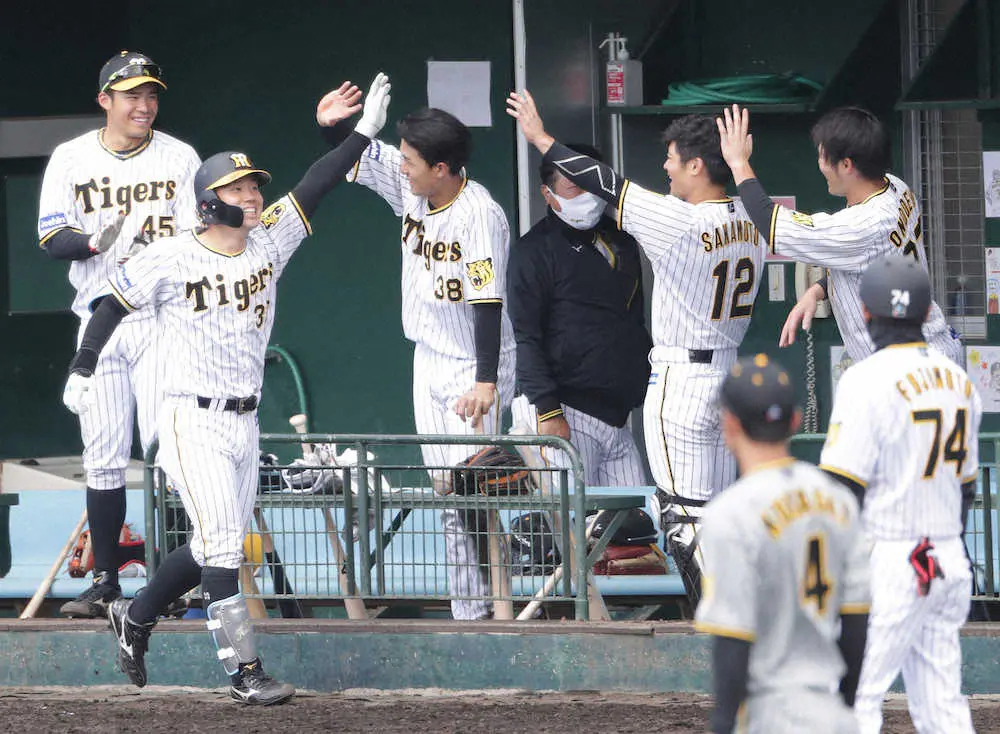 【画像・写真】やるね！阪神・糸原“健斗”　初実戦で自ら快気祝い弾「名前覚えてもらえるように頑張ります」