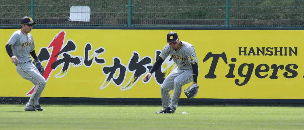 【画像・写真】関本賢太郎氏　阪神・佐藤輝の“スピード緩い”守備には苦言　打席の工夫は評価も