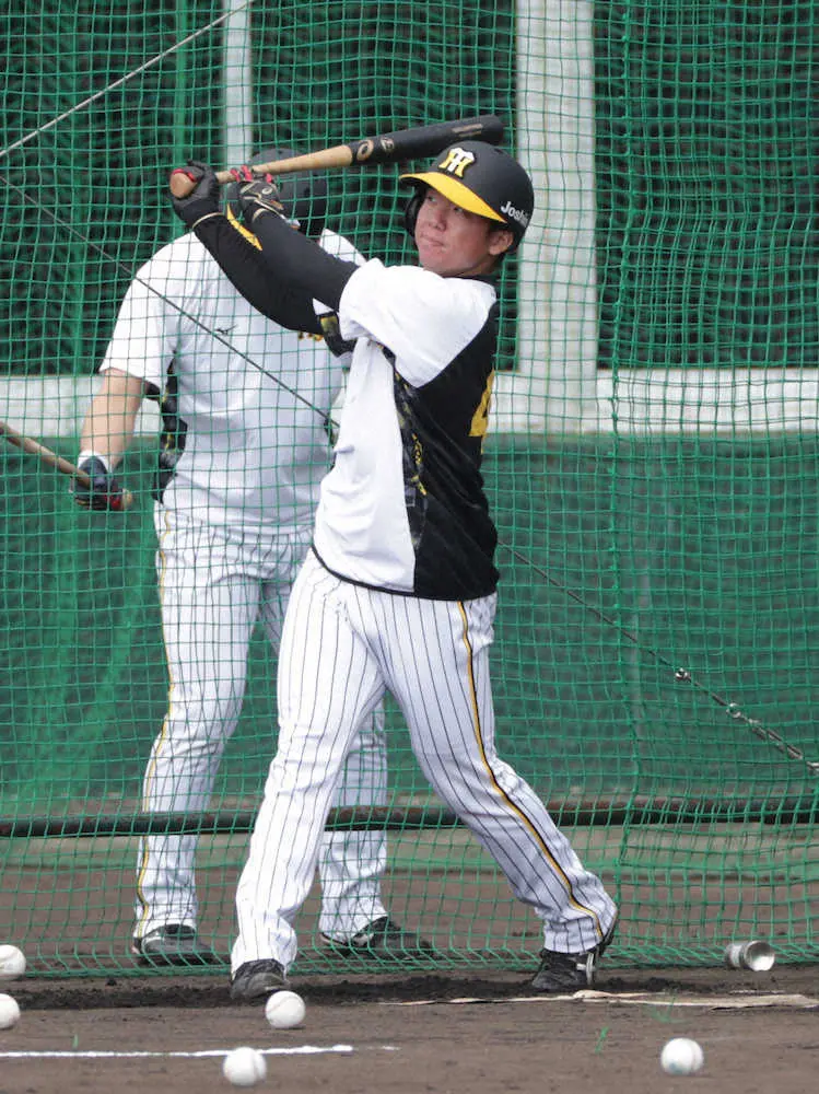 【画像・写真】＜阪神宜野座キャンプ＞フリー打撃を行う村上（撮影・坂田　高浩）