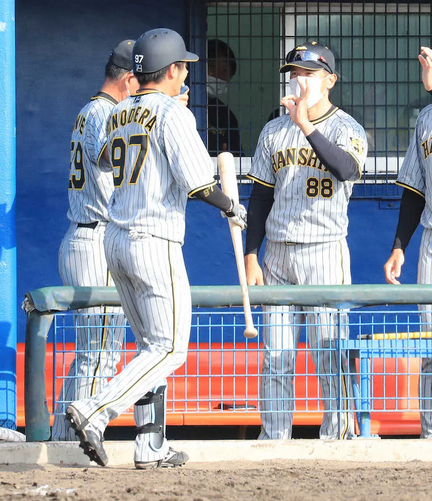【画像・写真】【語録】阪神・矢野監督　藤浪は「勝てる球　ローテーション入ってこないと困る」　及川は昨季同様中継ぎへ