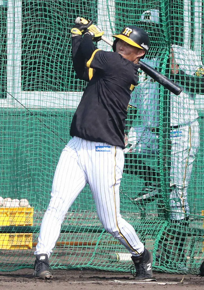 【画像・写真】阪神・糸井　最年長40歳MVP「自分自身に歯向かった」　開幕スタメンへ決死のフルメニュー消化