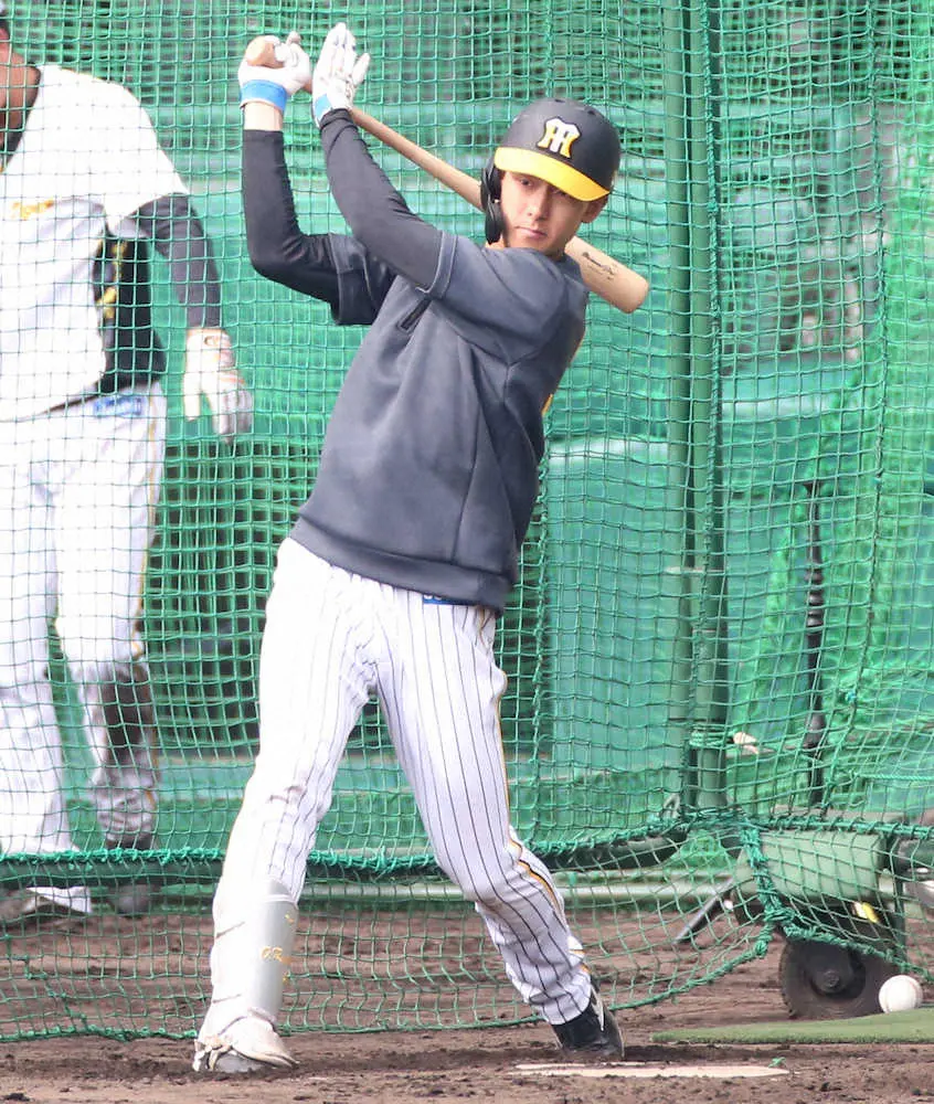 【画像・写真】阪神　中野アウトなら「開幕遊撃」は小幡VS木浪の一騎打ち　井上ヘッド「結果見ながら」