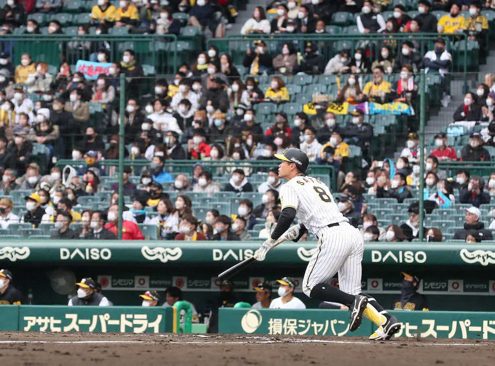 【画像・写真】今年も打った!!阪神・佐藤輝は“初”に強すぎ　聖地初戦の初打席、初安打、初打点　球団最年少4番へ前進