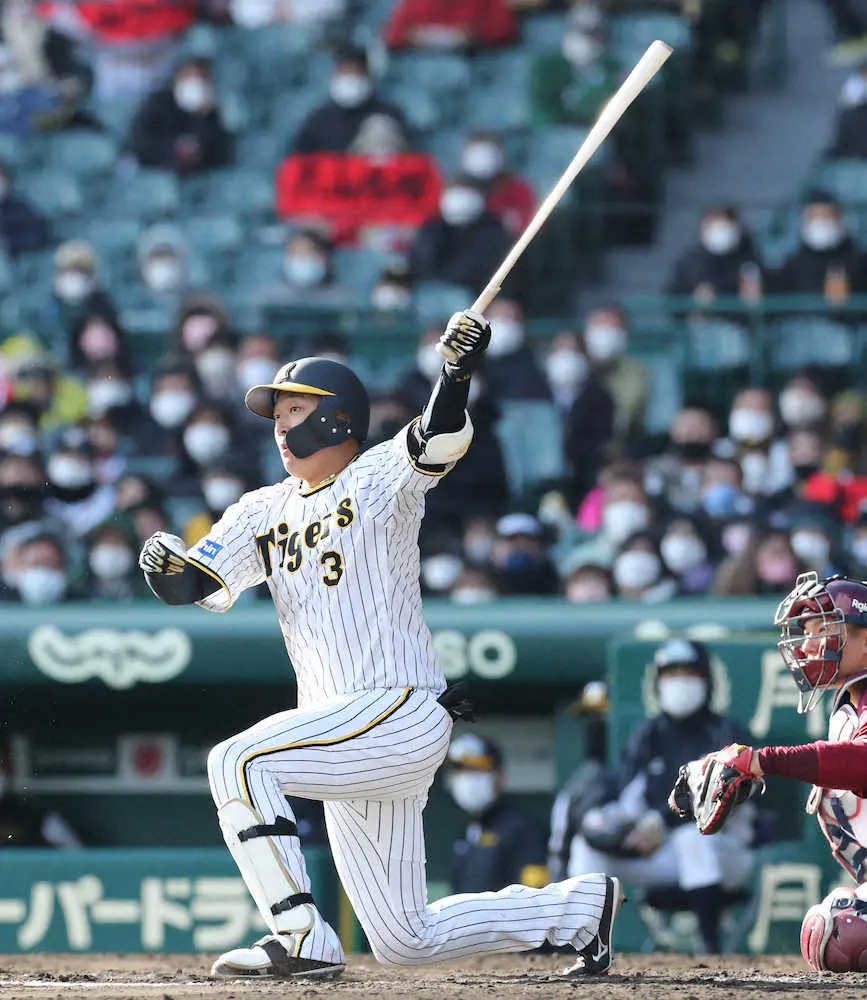 【画像・写真】阪神・大山　オープン戦18打席目で快音!　開幕4番候補がマルチ安打でギア上がってきた～