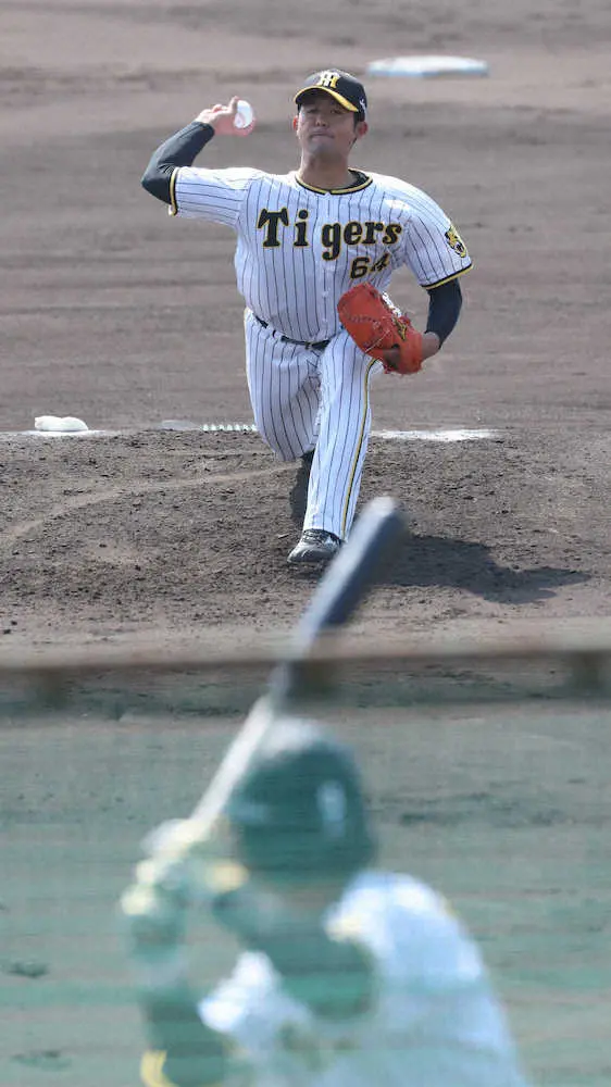 【画像・写真】阪神ドラ5・岡留　2軍のシート打撃で「圧巻」ピッチ　4連続Kなどの快投で、視察した矢野監督にアピール