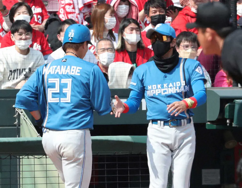 日本ハム 渡辺 広島大瀬良から先制ソロ オープン戦11打席目で初安打 スポニチ Sponichi Annex 野球