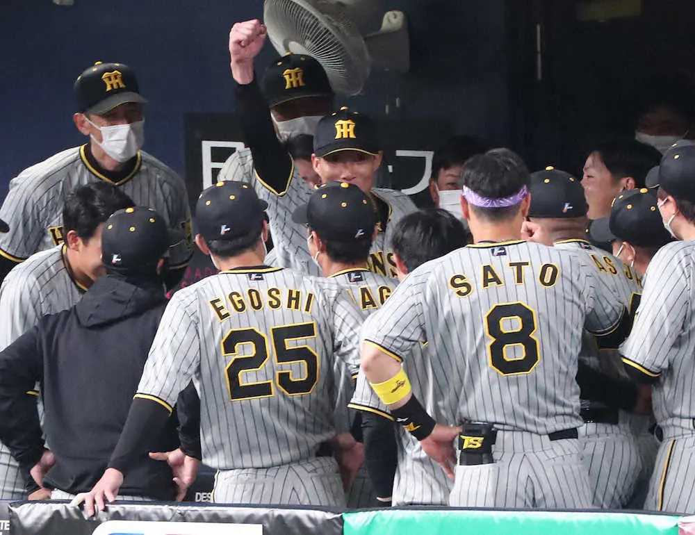 【画像・写真】阪神・糸井　40歳での開幕レフト決定的　井上ヘッドコーチ「そこに糸井の名前があるっていうこと」