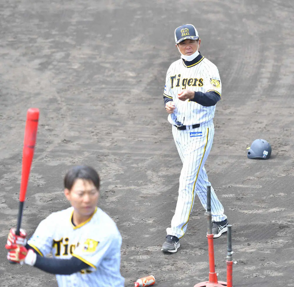 【画像・写真】阪神コロナ禍で2軍4試合が中止　チームの危機に平田2軍監督「ファームもしっかり準備をする」