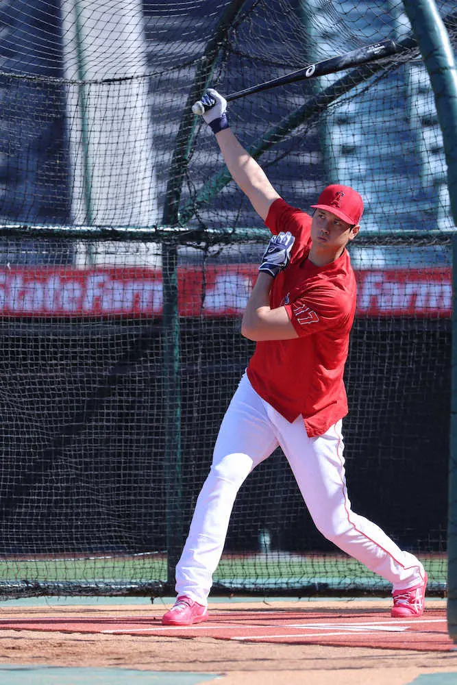 【画像・写真】大谷翔平、怒濤の20連戦5試合目に出場　マドン監督、休養日与える可能性に「彼とは話をした」