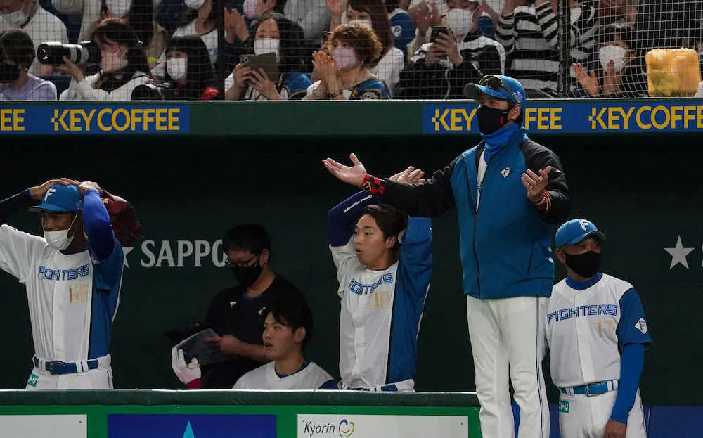 【画像・写真】日本ハム　最下位でもリーグトップ25本塁打、昨季ワースト78発から大変身!?今川止まらん！2打席連発