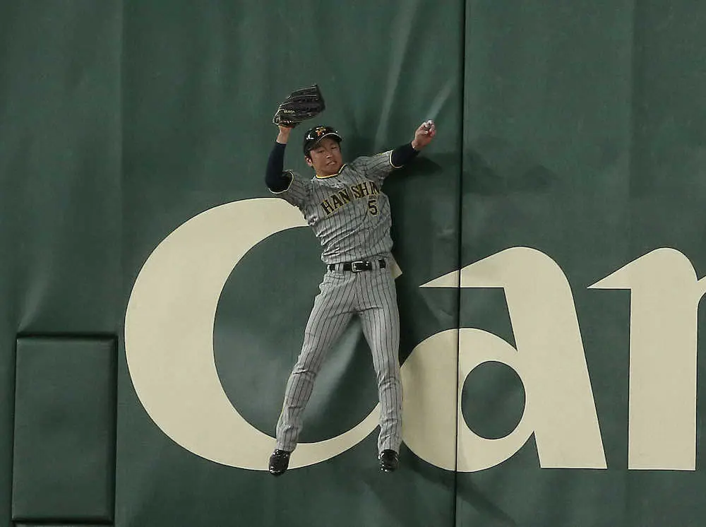 【画像・写真】阪神・近本が“超美技”で魅せた　フェンス際の打球をジャンピングキャッチ