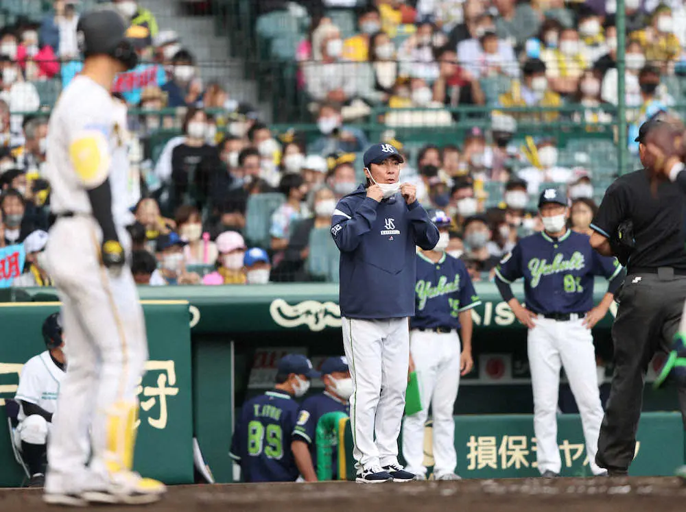 【画像・写真】甲子園騒然！　阪神・佐藤輝＆糸井　9回2度の申告敬遠　サヨナラ勝ち呼んだ