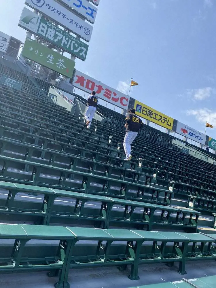 【画像・写真】【虎番リポート】阪神・湯浅“岩崎ルーティン”階段トレで高みへ駆け上がる