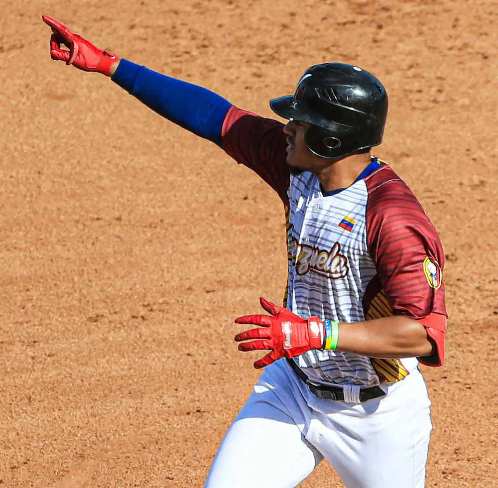 【画像・写真】西武　ベネズエラ出身24歳大砲候補を育成で獲得　マイナー通算39本塁打