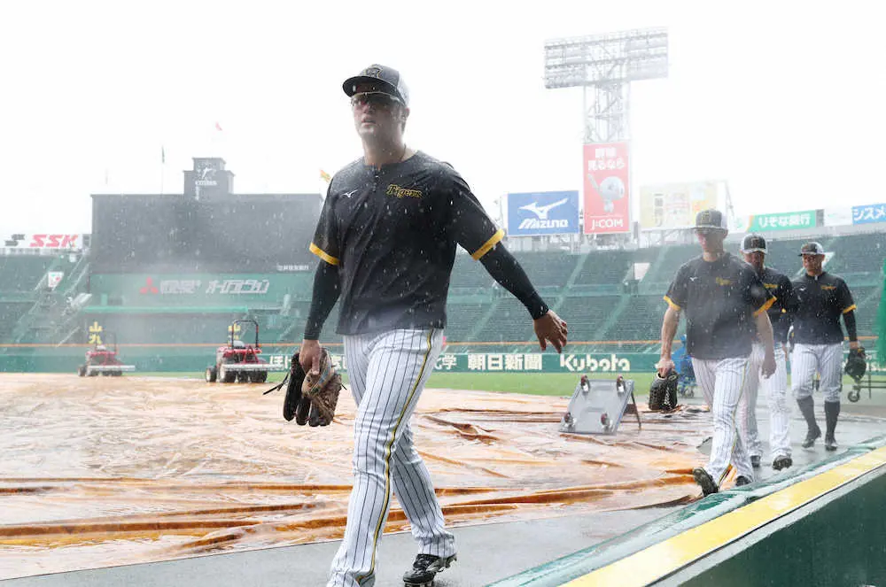 【画像・写真】阪神・板山　今季初の1軍に闘志「結果で貢献したい」矢野監督も勝負強さと堅守に期待