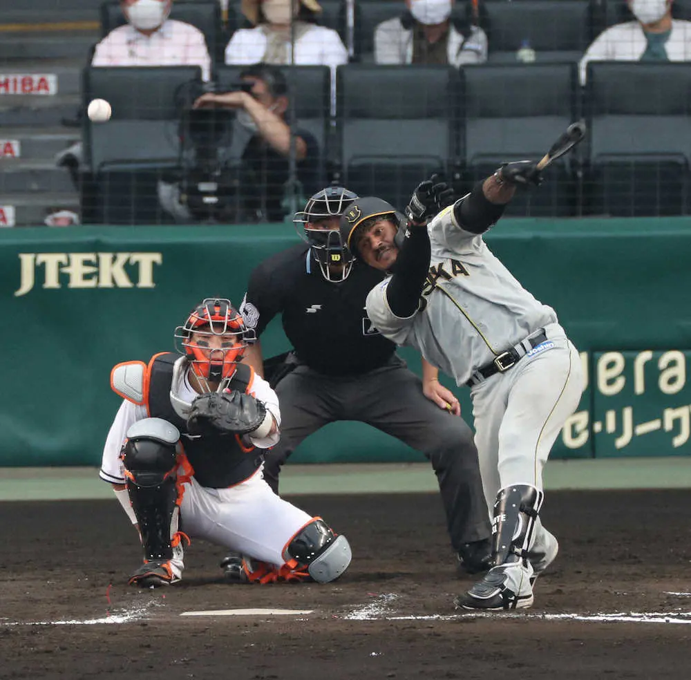 【画像・写真】虎のマルちゃんも上向き　先制打含む今季初の3安打猛打賞