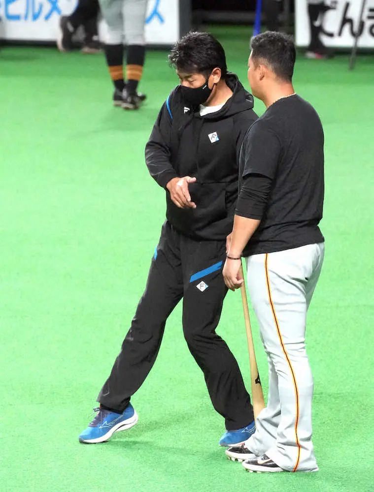 試合前練習で、巨人・中田と話す日本ハムの稲葉GM（撮影・高橋茂夫）