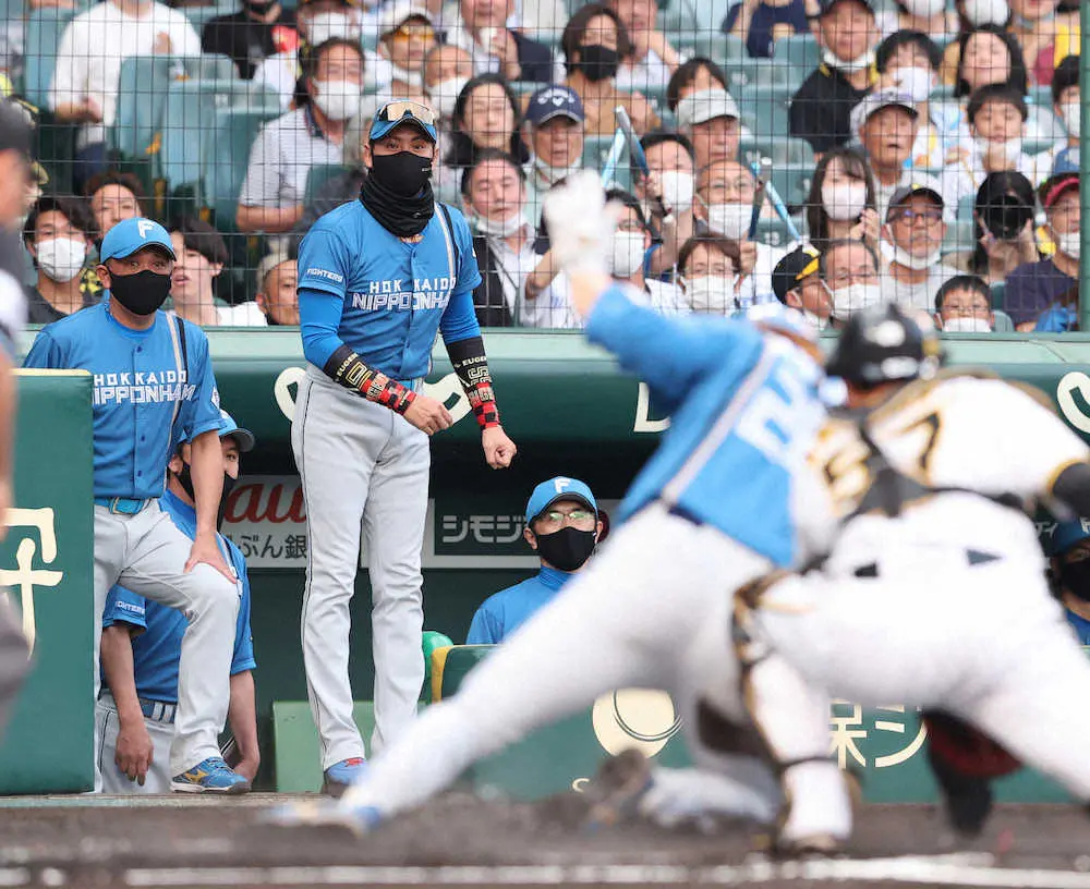 【画像・写真】日本ハム・新庄ビッグボス　古巣・甲子園で“秒速”の恩返し！　初回に4球で先制、清宮犠飛で2点目