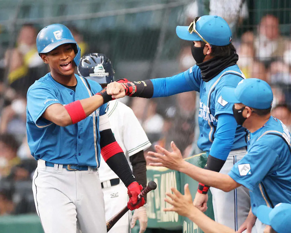 【画像・写真】日本ハム・新庄ビッグボス　大逆転負けにも「選手たちは幸せ。財産だと思います」満員の甲子園に感慨
