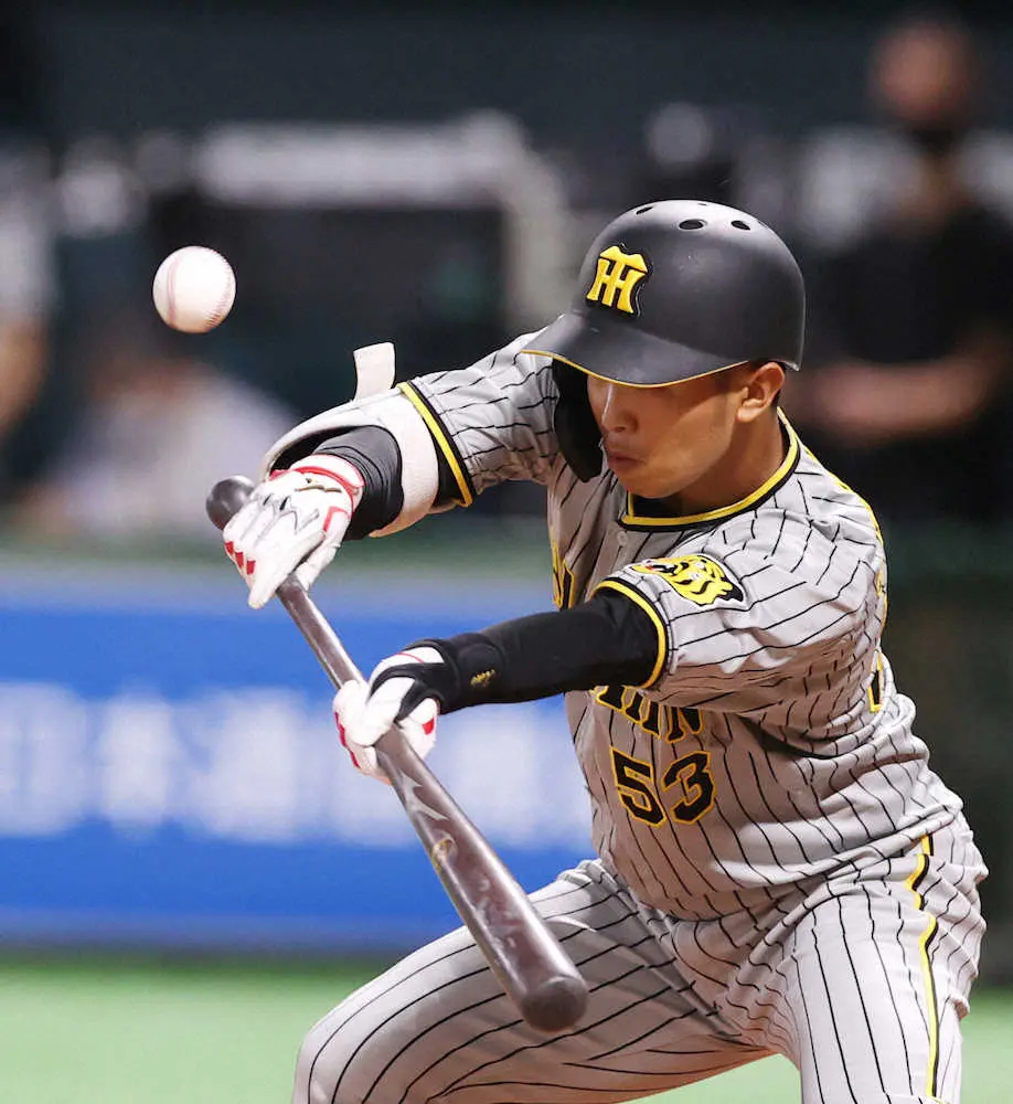 【画像・写真】阪神・島田、幸運内野安打で6試合連続ヒットも　送りバント失敗に矢野監督苦言