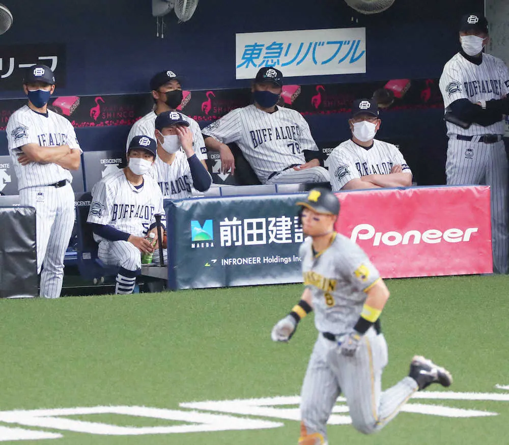 【画像・写真】虎に3タテ…オリ　交流戦連覇どころか負け越し転落　収穫はラオウ・杉本の交流戦首位打者