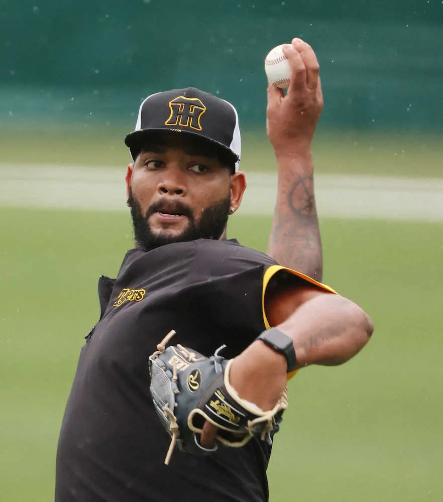 【画像・写真】阪神の新守護神にアルカンタラ　岩崎不在で矢野監督新たな必勝パターン