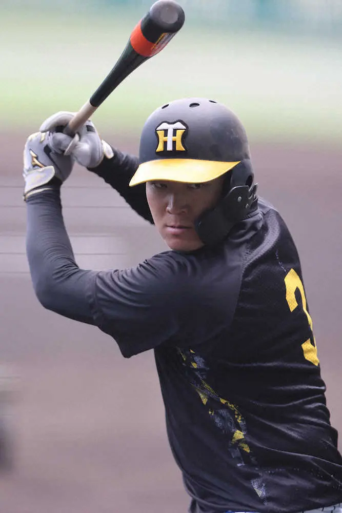 【画像・写真】阪神・大山　自分のバットで広島戦連敗止める「そういう仕事ができるように頑張りたい」