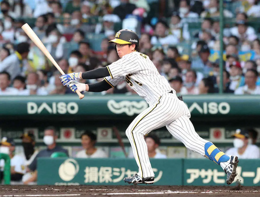 【画像・写真】阪神・近本、球団記録の30試合連続安打を達成　プロ野球記録にあと「3」
