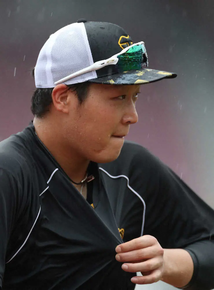 【画像・写真】阪神―広島戦　試合前からの降雨でプレーボール予定時刻直前に中止決定