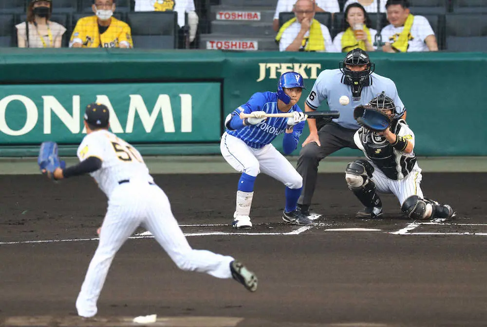 【画像・写真】【内田雅也の追球】努力で身につけた技術が支え　DeNAの「陽動」に動じなかった青柳