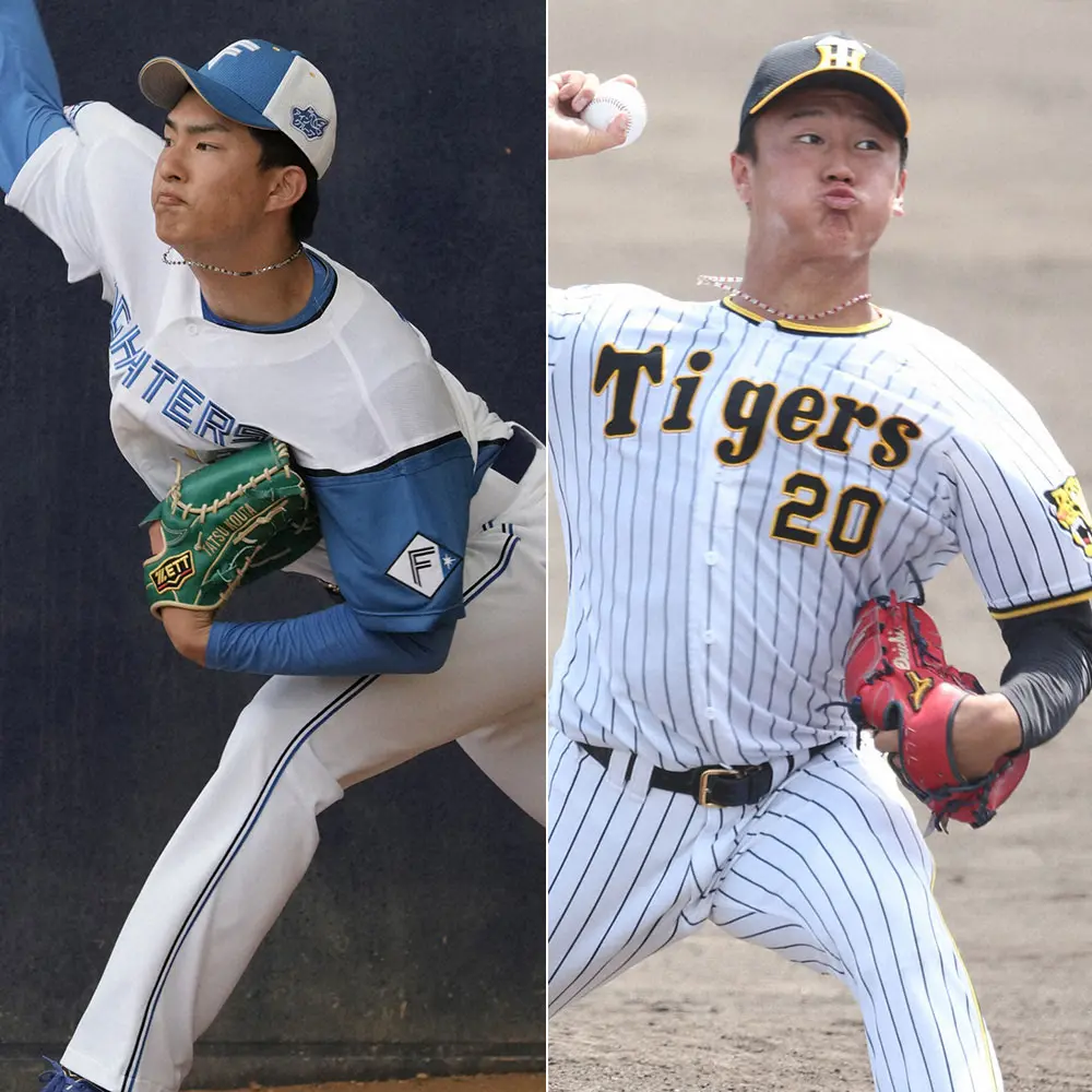 【画像・写真】23日フレッシュ球宴　日本ハム・達VS阪神・森木　高卒ドラ1腕対決
