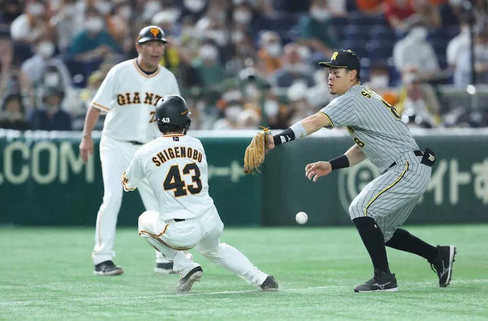 【画像・写真】【内田雅也の追球】思い返したいキャッチボールの心　輝&大山の失策は勝ったからこそ、より反省できる