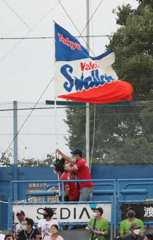 ＜ヤ・D15＞台風接近の強風で外野応援席の旗持ちも3人掛かり（撮影・村上　大輔）