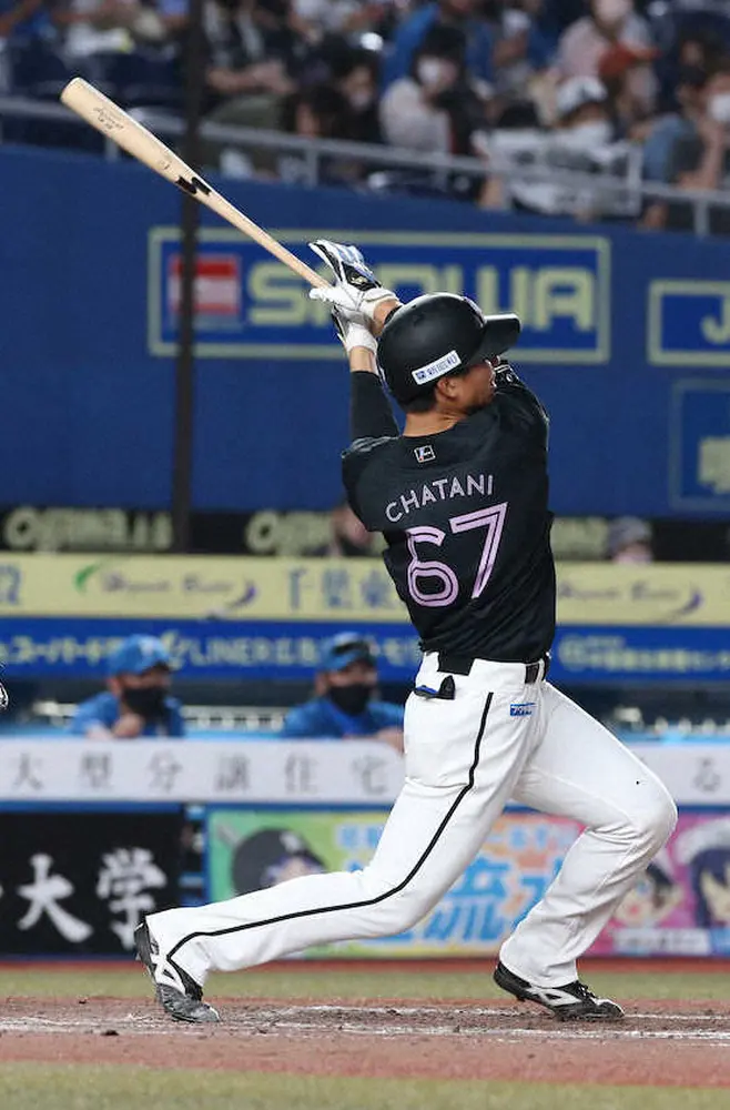 【画像・写真】ロッテ・茶谷　7年目で待望プロ1号！10メートル以上の逆風に負けず「入ってくれて良かった」