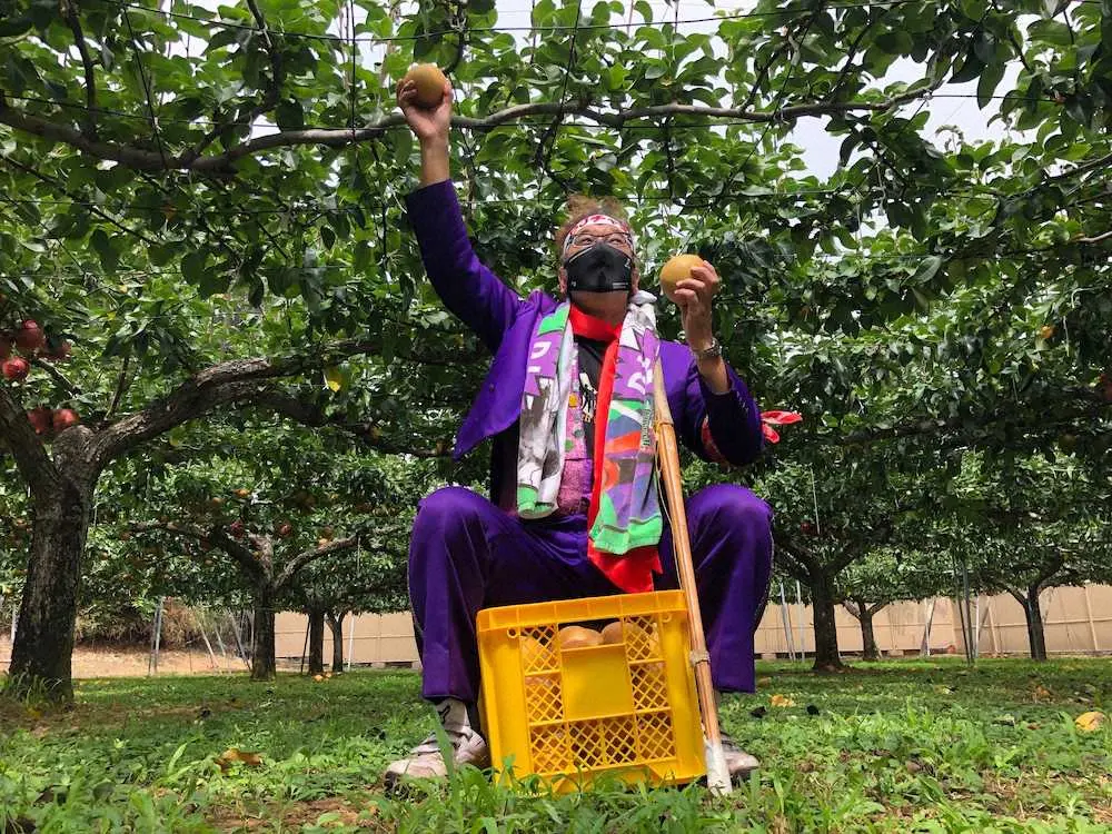 梨農家の収穫の手伝いを行う謎の二刀流キャラクター Djチャス スポニチ Sponichi Annex 野球