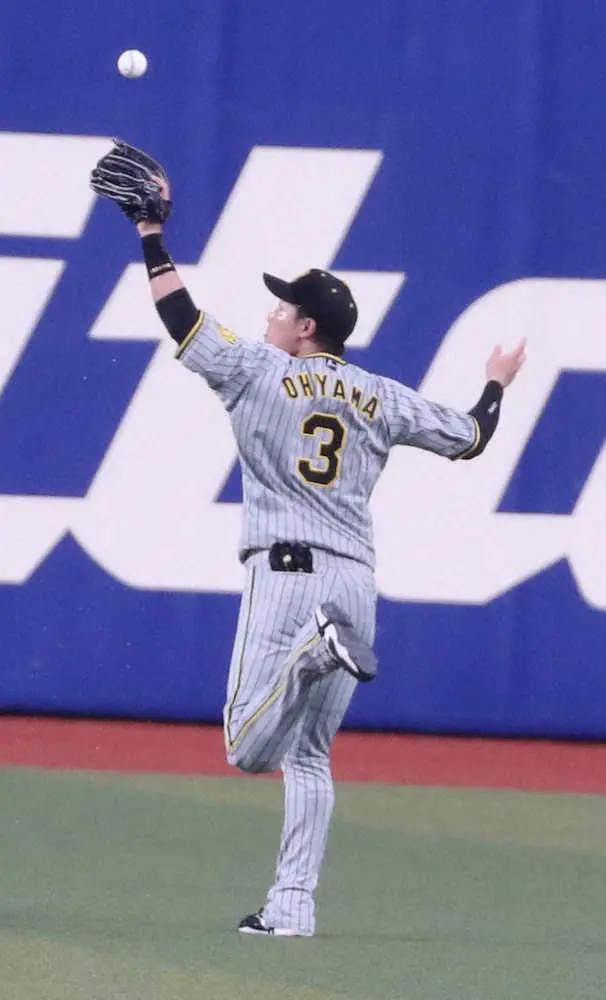 【画像・写真】【内田雅也の追球】左投げの二塁手　3番に強打の投手　矢野阪神はまだまだ苦心や工夫があっていい