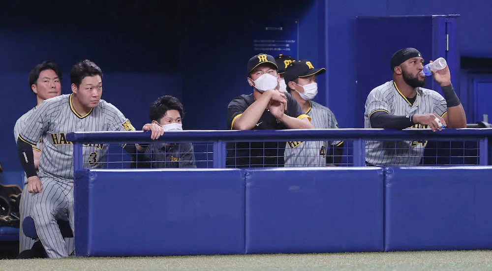 【画像・写真】阪神・矢野監督「素晴らしいもの見せてもらった」と森木称賛も打線は「やっぱり寂しい」　29日に抹消へ