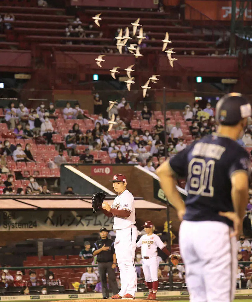 【画像・写真】楽天生命パーク　蛾に続き今度は鳥の群れが襲来　石井監督「うちの球場は動物園ですか？」