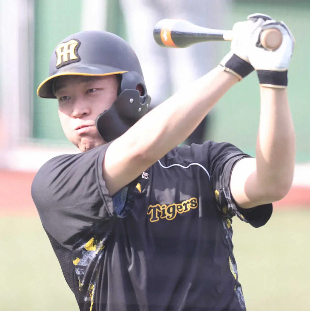 【画像・写真】阪神「14年の再現」2位から日本S進出へ打のキーマンは9月男・大山　投は9月不振の青柳が心配？