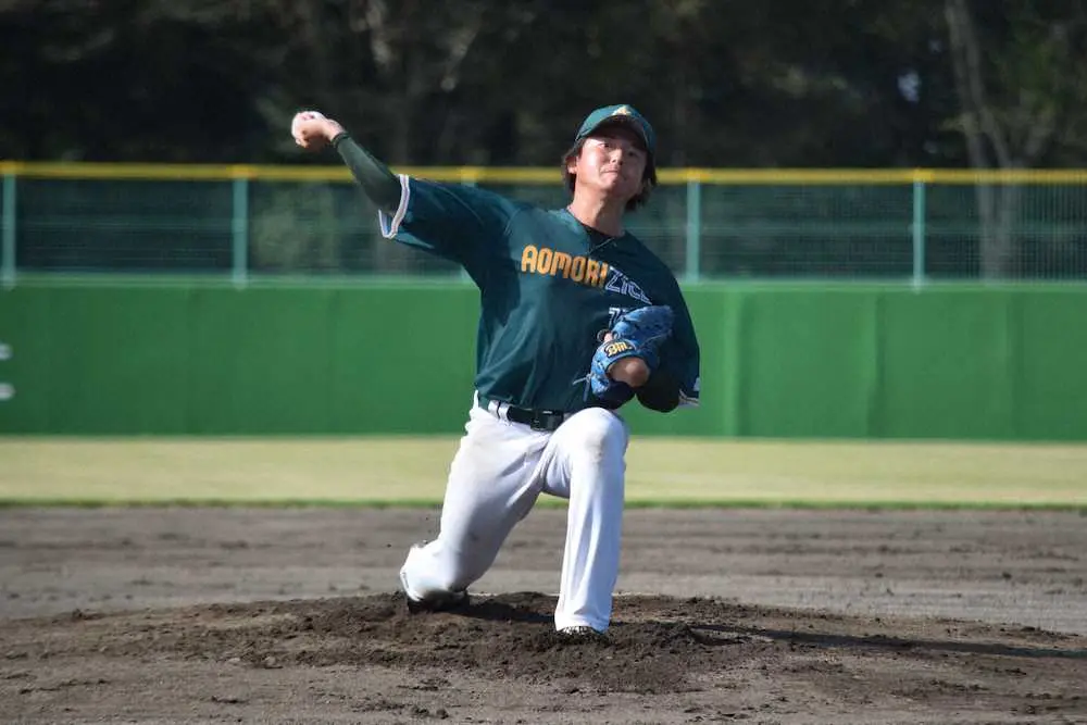 【画像・写真】高松宮賜杯第66回全日本軟式野球大会2部　きょう11日、2回戦と準々決勝！