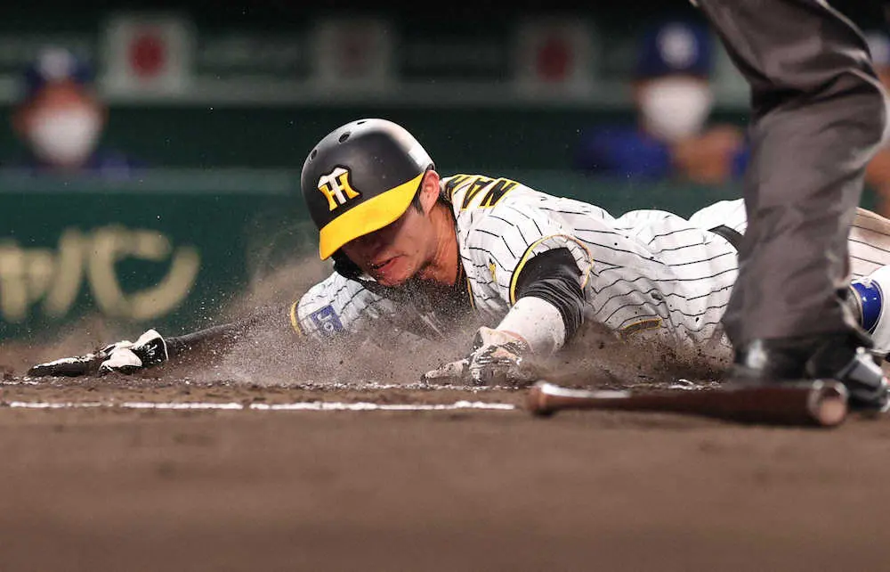 【画像・写真】阪神・中野&近本　快足コンビが存在感　視察の侍・栗山監督「素晴らしい形見せてくれる」