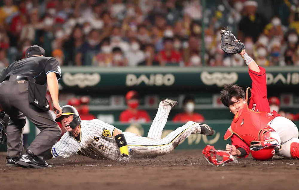 【画像・写真】【内田雅也の追球】活を入れた梅野「4秒06」の力走　“俊足捕手”の積極姿勢に気持ちがこもっていた