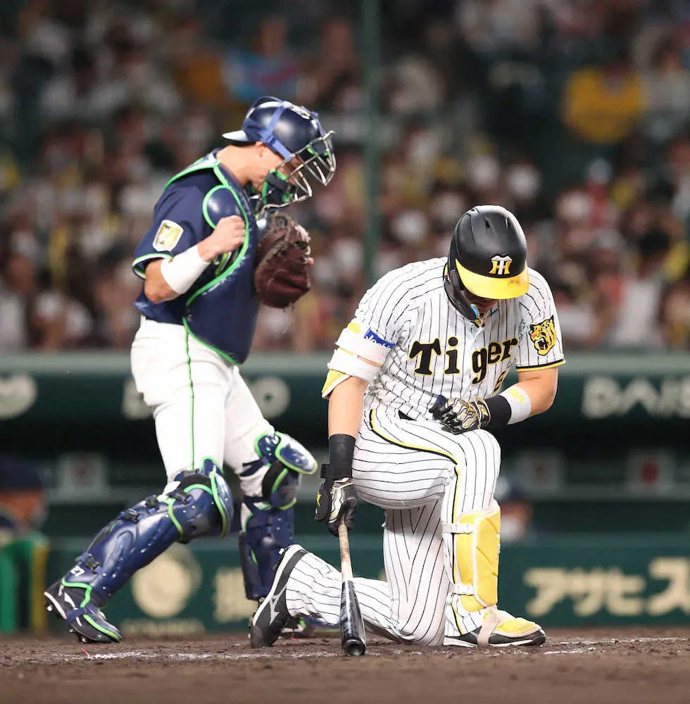 【画像・写真】阪神　CS進出へ大ピンチ　コイと同率3位…じゃダメなんです　直接対決負け越しで“優先権”なし