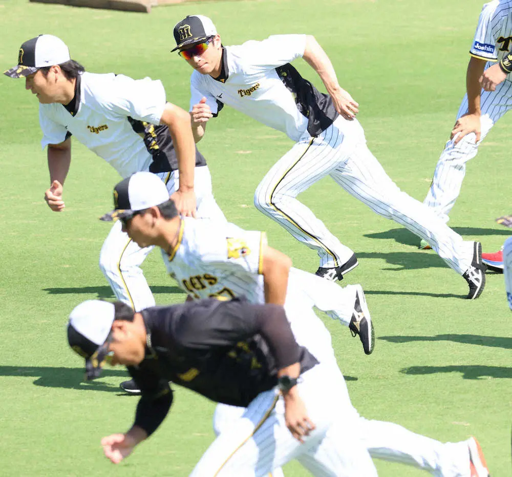 【画像・写真】阪神・近本　3割30盗塁へ泰然自若「数字振り返るのはシーズン終わってから」　個人記録より勝利最優先