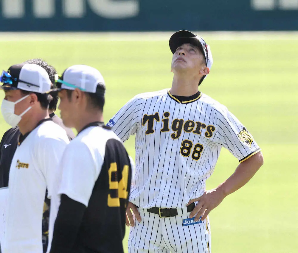 【画像・写真】阪神・矢野監督「チーム優先は当たり前」　青柳タイトルに忖度なし　CS進出へ投手陣の総動員明言