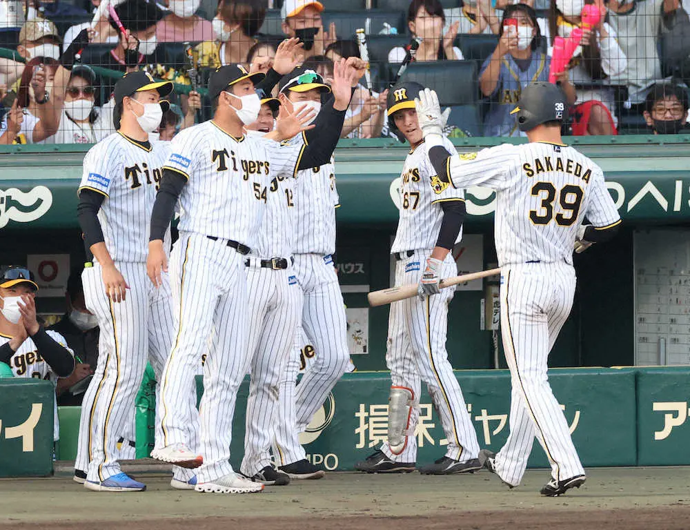 【画像・写真】阪神・栄枝が土壇場で同点打「気持ちで打ちました」プロ初出場、初打席で大仕事！