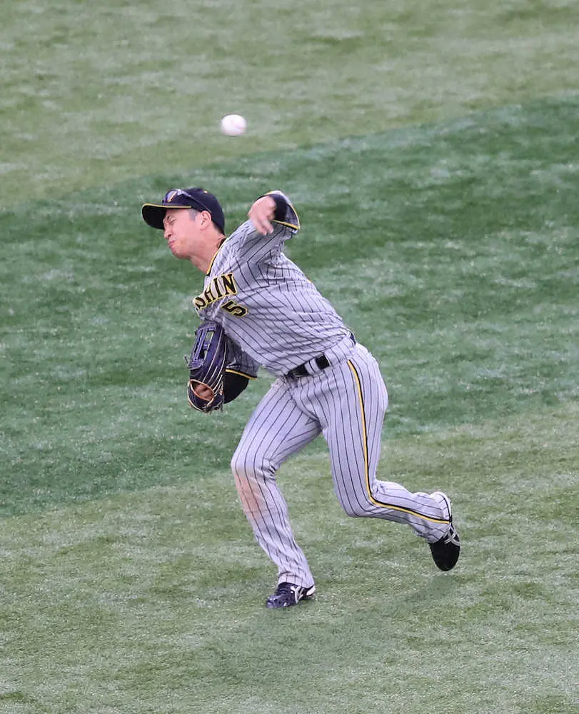 【画像・写真】【内田雅也の追球】「ホール」の一球、一戦　猛虎らしく、思い切った勝負を見たい　　